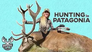 Sydnie Wells Bowhunted a GIANT Red Stag in Patagonia