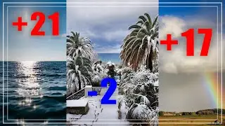 Как уберечь герань от заморозков. Температурные качели в Сочи. Пеларгонии зимой.