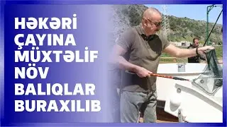 Laçında Şərqi Qafqaz turları və şahin quşları təbiətə, müxtəlif növ balıqlar Həkəri çayına buraxılıb