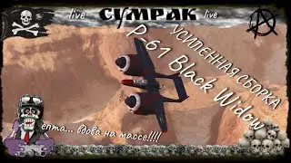 P-61 Black Widow - усиленная сборка World of Warplanes