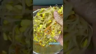 Салат за 5 минут.  Проросший маш по корейски 🤤