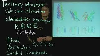 Topic 5.8 - Thermodynamic contributions to tertiary structure