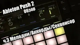 Ableton Push 2 Обзор. Мелодии, аккорды, степ секвенсор ч.3