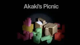 Akaki’s Picnic packing puzzles