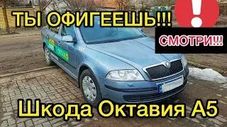 Обзор Skoda Octavia A5 1.6 механика - после 10 лет в такси