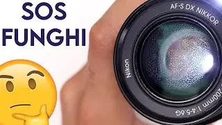 Obiettivi Con Funghi Si Possono Utilizzare? Test ITA