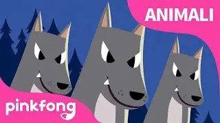 Gli Animali Notturni | Canzoni Animali | Pinkfong, Bimbo Squalo! Canzoni per Bambini