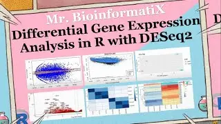 Differential Gene Expression Analysis in R with DESeq2| Bioinformatics Tutorial for Beginners