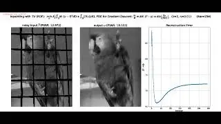 Variational Methods | PDE | Inpainting | Tikhonov | TV | ROF | Calculus of Variation