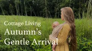 Autumn's Gentle Arrival, Slow Cottage Living, Cabin Fall Decorating, Thrifted and Gifted Home-making