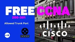 CCNA ||18|| HOW TO ALLOWED TRUNK PORT ON CISCO SWITCH.