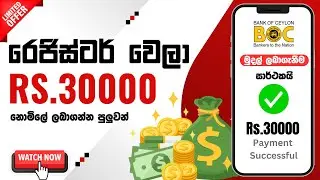 🎁රෙජිස්ටර් වෙන හැමෝටම නොමිල් රු.30000ක් ගන්න පුලුවන් වෙබ්සයිට් එකක්😍 | E money sinhala 2024 | 139th