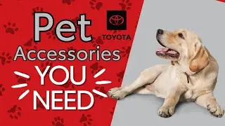 Must Have Toyota Pet Accessories | Toyota Genuine Accessories