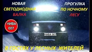 МАРШРУТ ПО НОЧНОМУ ЛЕСУ, ТЕСТ СВЕТОДИОДНОЙ БАЛКИ