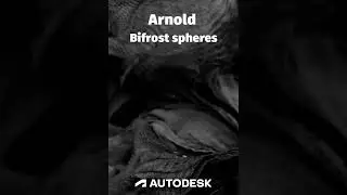 #arnoldrenderer #gpu