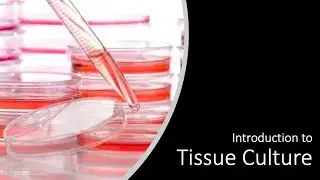 Introduction to Cell Culture