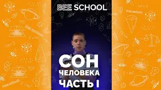 РАЗБИРАЕМ ФАЗЫ СНА #математика #егэ #огэ #shorts #профильныйегэ