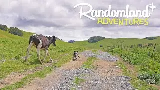 I can't believe this is 40 miles from San Francisco...