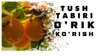 Tushda Orik Korish Tabiri