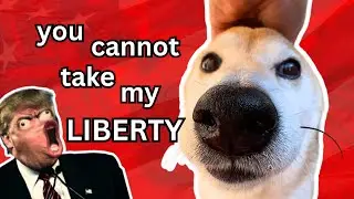 You can TAKE MY EARS but you CANNOT take my liberty DOG