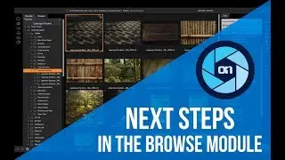 Next Steps in Browse: Importing and Organizing – ON1 Photo RAW