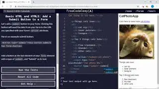 Basic HTML and HTML5 (20/28) | Add a Submit Button to a Form | freeCodeCamp