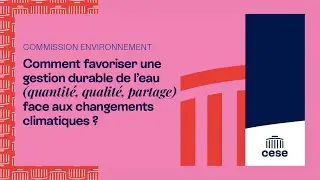 Comment favoriser une gestion durable de l’eau en France face aux changements climatiques - cese