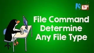 Linux Command Line Tutorial | file command to determine any file type | FOTV