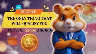 Hamster Kombat Airdrop Update! Do this now or be disqualified