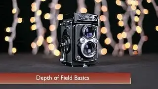 Depth of Field Basics