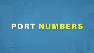 Port Numbers Explained | Cisco CCNA 200-301