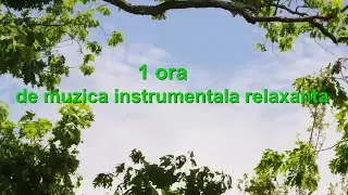 1 ora de muzica instrumentala relaxanta | Muzica pentru relaxare si somn