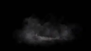 DUSTWAVE  Black Screen