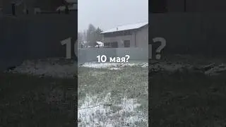 Зачем снег? 