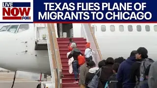 Border crisis: Texas flies migrants to Chicago on private plane | LiveNOW from FOX