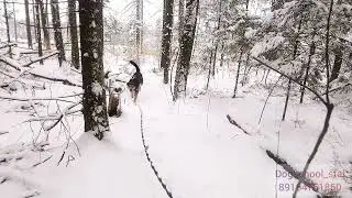 Команда Ко мне. Идеальный подзыв