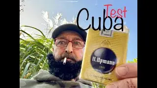 H.Upmann Lungentorpedo aus Cuba