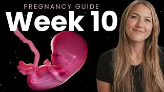 10 Weeks Pregnant | Week By Week Pregnancy