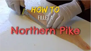 How To: Fillet a Northern Pike