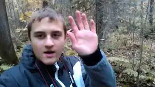 Как сделать еловый чай? | Завариваю чай из ёлок!
