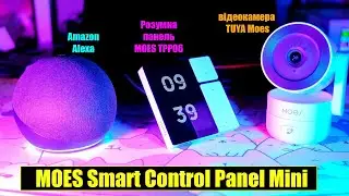 Розумна панель MOES Smart Control Panel Mini TPP06. Tuya. Додавання  до Home Assistant.