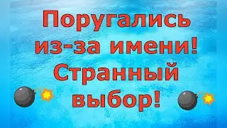 Деревенский дневник очень многодетной мамы \ Поругались из-за имени! Странный выбор! \ Обзор