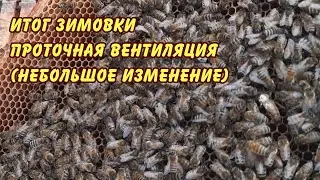 ПЧЕЛОВОДСТВО. итог зимовки верхняя вентиляция небольшое изменение