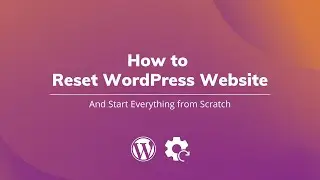 How to Reset WordPress Website  & Start Everything from Scratch | #shorts