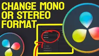 How To Change Mono Or Stereo Format In Davinci Resolve 18