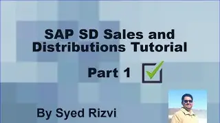 SAP SD Sales and Distributions Tutorials - Foundation Learning Part 1