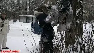 Фурри прогулка в Сокольниках - Древесный Волк