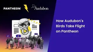 Content Delivery Network | Edge Configuration Tools and Advanced Caching for Audubon