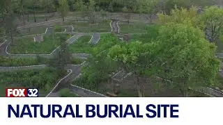 Archdiocese of Chicago introduces natural burials