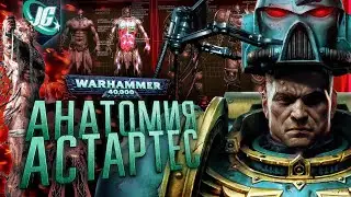 АНАТОМИЯ МАШИНЫ СМЕРТИ - КОСМОДЕСАНТ (АДЕПТУС АСТАРТЕС) | WARHAMMER 40k -  Вархаммер 40000